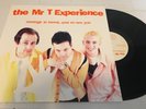 The Mr. T Experience 