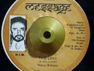 DELROY WILLIAMS This Love REGGAE ROOTS 45 HEAR