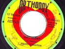 LEE PERRY BLACK ARK 