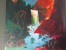 The Waterfall by My Morning Jacket vinyl album signed by Jim James autograph x5