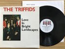The Triffids ?– Love In Bright Landscapes LP Promo copy Australian indie punk