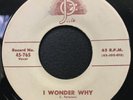 The Cadillacs Gloria/I Wonder Why Josie R&B Doo Wop 45 single