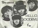 THE BEATLES Hello Goodbye/I'm The Walrus SOUTH AFRICA Parlophone PICTURE SLEEVE