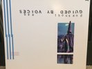 Guided by Voices - Bee Thousand Original Clear Red Vinyl LP Robert Pollard GBV