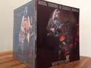 NEIL YOUNG CRAZY HORSE * WINTERLONG * EX+ COLORED VINYL 2xLP