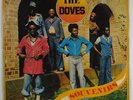 Doves 