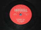 Fats Domino-Blueberry Hill/Honey Chile, Imperial 5407, VG+