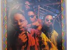 BRAND NUBIAN  ALL FOR ONE    DOUBLE LP  reissue GRAND PUBA  TRAFFIC