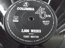 Terry Britten 