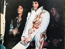 ELVIS PRESLEY LIVE EXPERIENCE VINYL LP IMPORT USA 1979