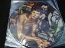 DAVID BOWIE - DIAMOND DOGS : PICTURE DISC LP: RCA INTS 5068-P :NEAR MINT