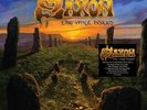 The Vinyl Hoard - Saxon (12