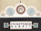 FRIGHTENED RABBIT THE WINTER OF MIXED DRINKS VINYL LP (not cd 12”)