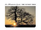 MOUNTAIN GOATS-SUNSET TREE (US IMPORT) VINYL LP NEW