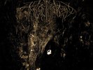 WOLVES IN THE THRONE ROOM - Two Hunters  DLP