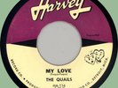 QUAILS My Love / Never Felt Like This Before 45rpm Harvey 1962 Motown doo-wop