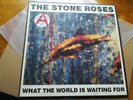 The Stone Roses ?– What The World Is Waiting For 12
