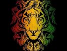 Reggae 7 Inch - 51 Stück, wie neu