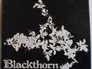 BLACKTHORN - Original UK LP - Private Folk Rock Prog AUTOGRAPHED Nina Szifris