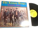 Crystal Pure  by The Lemon Drops LP 1985 garage psych