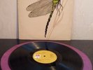 Strawbs ?– Dragonfly  A&M Records ?– AMLS 970  UK 1970 vinyl