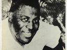 Howlin' Wolf - Change My Way LP - Chess Vintage Series VG+