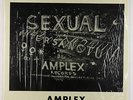 Unknown Artist - Sexual Intersanctum LP - Amplex Outsider Electronic Shrink MP3