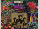 Flat Earth Society - Waleeco LP - Fleetwood - Rare Psych VG+