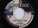 R&B Rocker 45 AL DOWNING Down On The Farm WHITE ROCK HEAR