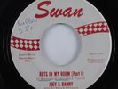 Rock & Roll Novelty 45 JOEY & DANNY Rats In My Room SWAN HEAR