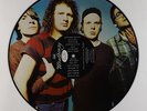 Mudhoney - Every Good Boy Deserves Fudge Picture Disc LP - Sub Pop Numbered VG++