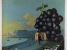Moby Grape - Wow LP - Columbia 2-Eye Mono PROMO