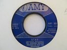VIRGINIA WOLVES   STAY - NORTHERN SOUL (ORIGINAL)