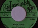 CYNTHIA RICHARDS - Jungle Fever b/w Clean Up Woman