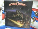 Vintage 1983 Home Grown KGB FM 101 San Diego Local Music LP Album Record Vinyl