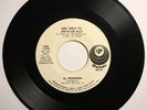 AL ROBINSON Sho 'Bout To Drive Me Wild RARE NORTHERN SOUL FUNK DJ Promo HEAR