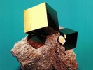 JUNGLE BY NIGHT - Livingstone - Vinyl (gatefold 2xLP + MP3 download code)