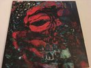 WARPAINT - The Fool - Vinyl (2xLP) Used. Rough Trade Records