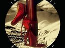 Bush Kate-The Red Shoes VINYL NEW