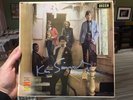 Savoy Brown Blues Band / Shake Down