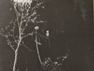 Darkthrone - Under A Funeral Moon LP, Peaceville records, with poster