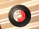 “RARE” Frantic Freddie / Pro-Teens, 45 White Rock vinyl  365-7 Charmaine
