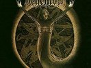 Behemoth - Pandemonic Incantations (Orange) - Reissue (NEW VINYL LP)