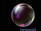 Ann Wilson - Immortal