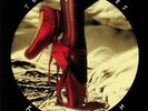 BUSH, Kate - The Red Shoes (remastered) - Vinyl (gatefold 180 gram vinyl 2xLP)