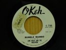Link Wray and the Wraymen R&R inst 45 Rumble Mambo bw Hambone Okeh promo