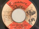 CHANTELLS - HOW CAN I GET OVER - TREASURE ISLE ( RARE ROOTS 7 )