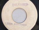 CLARENDONIANS - YOU ARE A FOOL - BLANK ( SKINHEAD 7 )