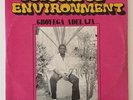Gboyega Adelaja Colourful Environment OBSCURE AFROBEAT AFRO FUNK NIGERIA VG+