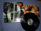 ASH  1977   1996- RARE FIRST UK PRESS - INFECT 40 LP -EX++